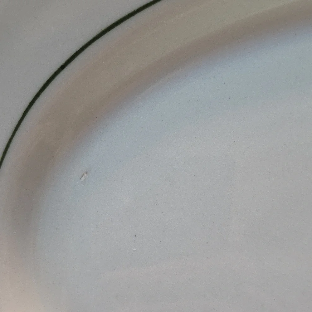 Vintage Restaurant Ware Platter White w/ Green Stripe Caribe Puerto Rico USA